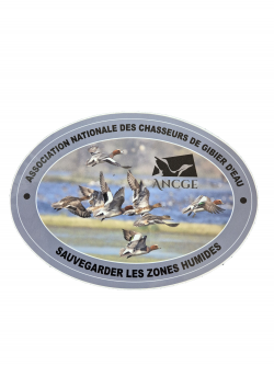 Siffleurs d'Europe - Autocollant Ovale 21cm X 15cm