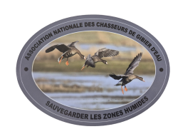 Autocollant Ovale 21cm X 15cm - Gris Sans logo