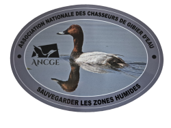 Autocollant Ovale 21cm X 15cm - MILOUIN Nouveau logo