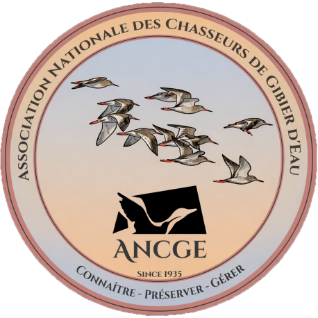 GAMBETTES Rond