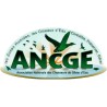 AUTOCOLLANT ANCIEN LOGO DE L'ASSOCIATION - OVALE