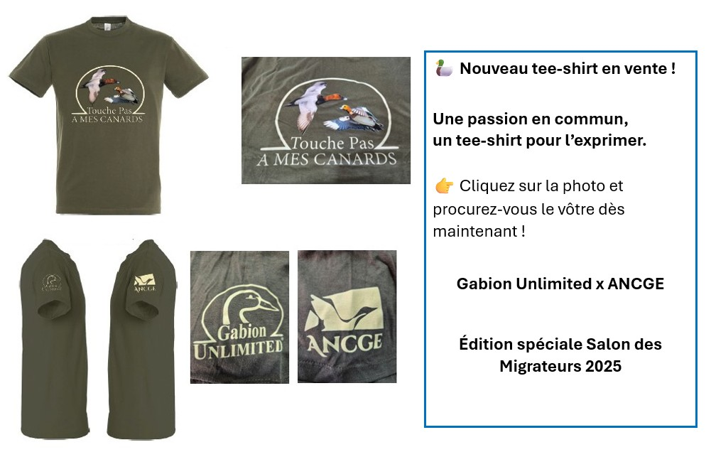 TEE-SHIRT